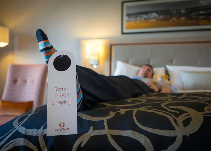 ホテル Clayton Limerick Junction