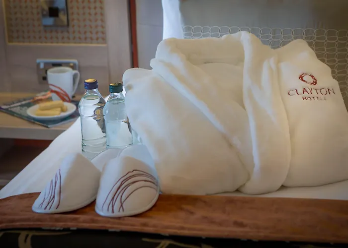 ホテル Clayton Limerick Junction